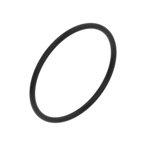 L53855 O-ring