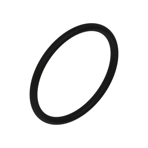 L53861 O-ring