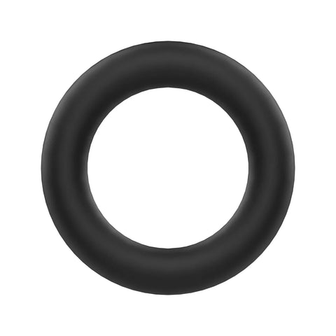 L53900 O-ring