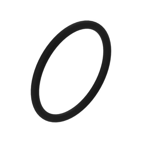 L55595 O-ring