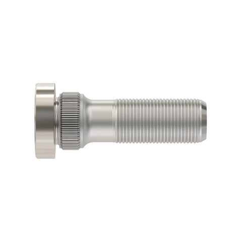 L55598 Wielbout