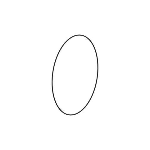 O-RING