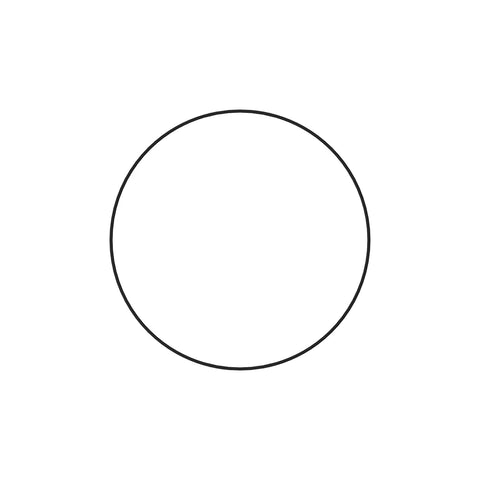 O-RING