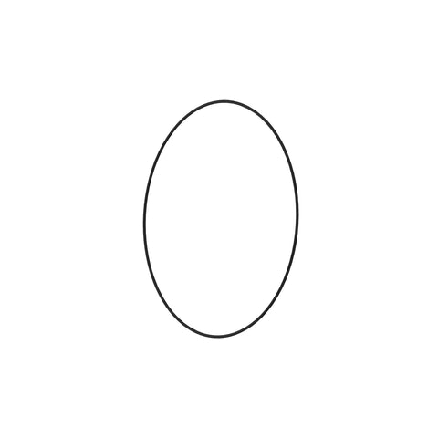 L56246 O-ring
