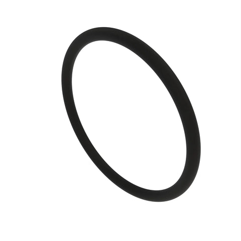 L59904 O-ring