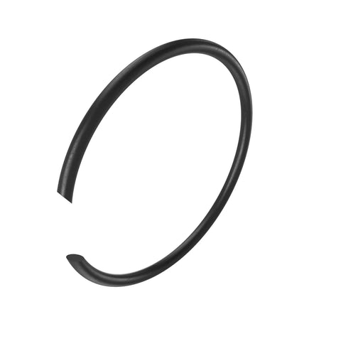 L60559 Borgring