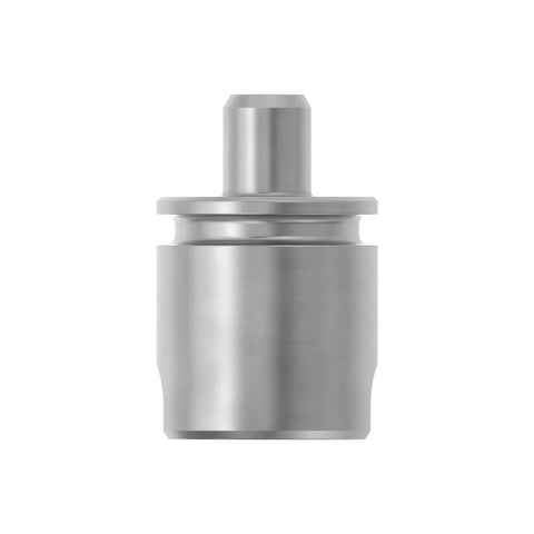 L76029 Zuiger