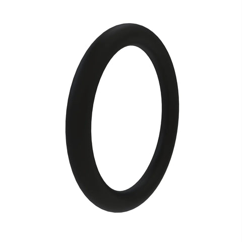 L77581 O-ring